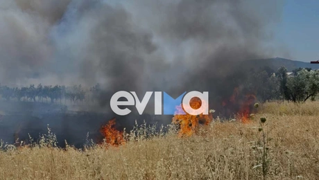 φωτιά στην Εύβοια