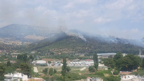 Υπό έλεγχο η φωτιά στην Καβάλα - Φόβοι για αναζωπυρώσεις λόγω των ισχυρών ανέμων