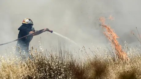 Φωτιά στον Μαραθώνα