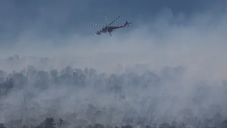 Φωτιά τώρα στην Ανάβυσσο