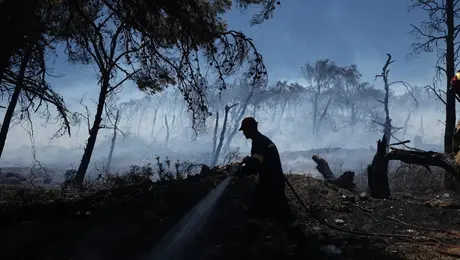 Φωτιά τώρα στην Ανάβυσσο