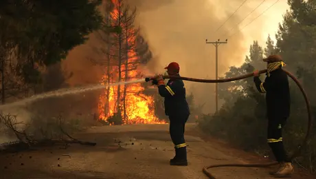 Φωτιά τώρα στην Εύβοια