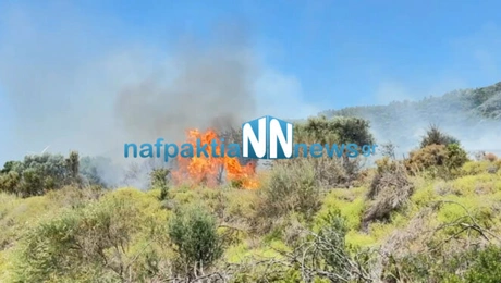 Φωτιά τώρα στη Ναύπακτο