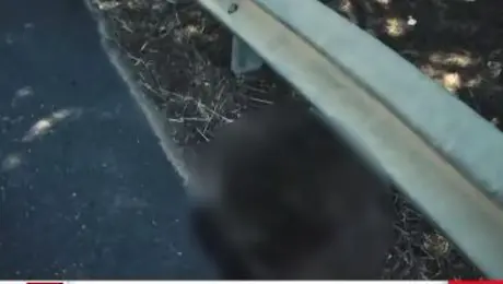 Ναύπακτος - τροχαίο 