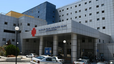 Βόλος: 7χρονος δέχθηκε επίθεση από αδέσποτα