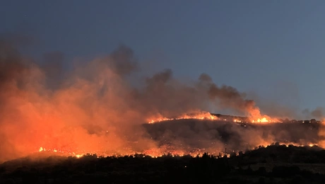 Ναύπακτο: Βίντεο - ντοκουμέντο από τη στιγμή που ξέσπασε η πυρκαγιά