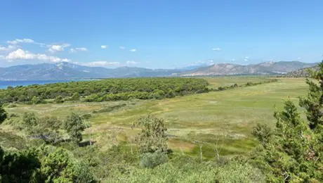 πάρκο Σχινιά