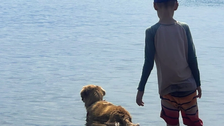 Σκύλος κάνει μπάνιο στη θάλασσα