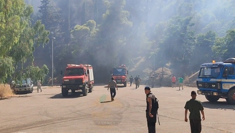 Φωτιά στη Χίο