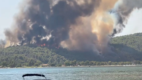 Φωτιά Χαλκιδική