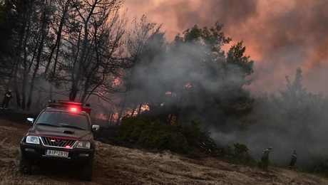 Φωτιά Ωρωπός