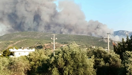 Φωτιά Ωρωπός