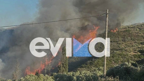 Φωτιά Εύβοια
