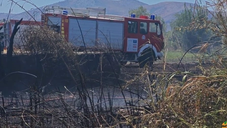 Φωτιά Μαραθώνας