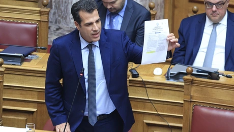 Θάνος Πλεύρης