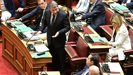 Ανδρουλάκης-Βουλή