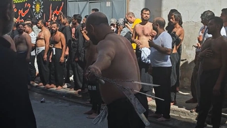 aytomastigoma mousoulmanoi