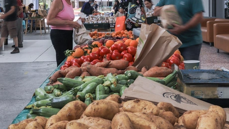 Βιολογικά οπωροκηπευτικά σε λαϊκή