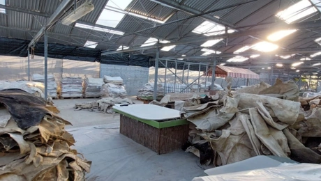 ελας ναρκωτικά