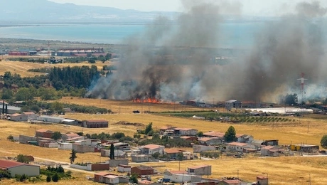 Φωτιά στην Αλεξανδρούπολη