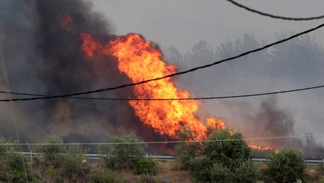 Φωτιά στην Αλεξανδρούπολη
