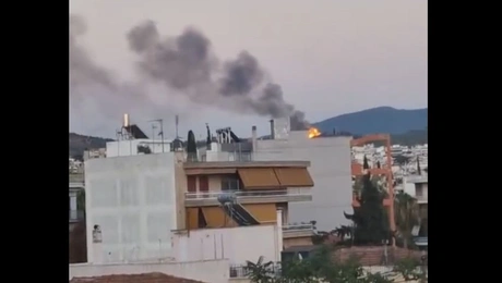 φωτιά άλσος Βεΐκου