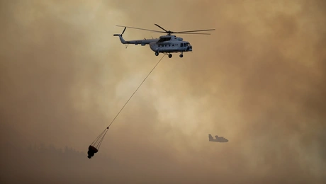 Φωτιά στη Χαλκιδική