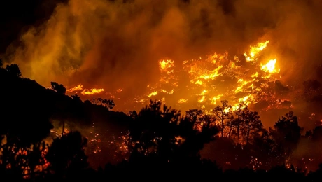 φωτιά Ιεράπετρα