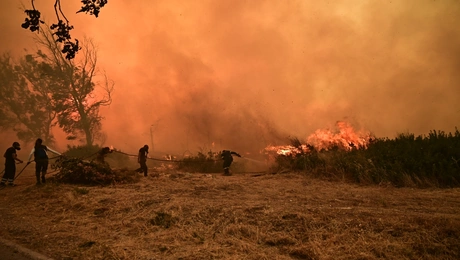 Φωτιά στη Δροσοπηγή