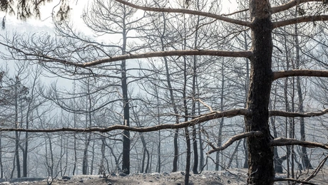 Φωτιά στην Κύπρο