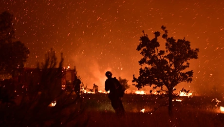 Φωτιά στον Ωρωπό