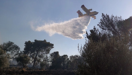 φωτιά Σπάτα