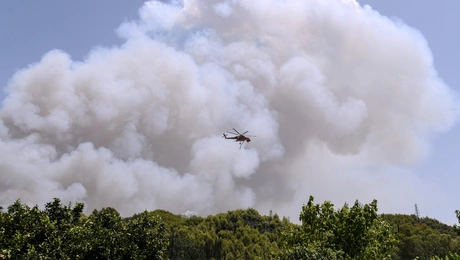 Φωτιά τώρα στην Αρχαία Ολυμπία