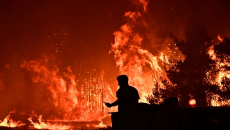 Φωτιά στον Ωρωπό