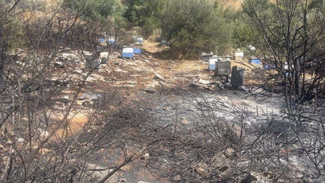 μελισσια-πολυτεχνειούπολη-φωτιά