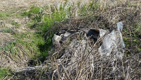 Δολοφονία στο Μεσολόγγι