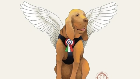 σκύλος-ιταλία