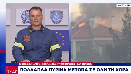 Βασίλης Βαθρακογιάννης