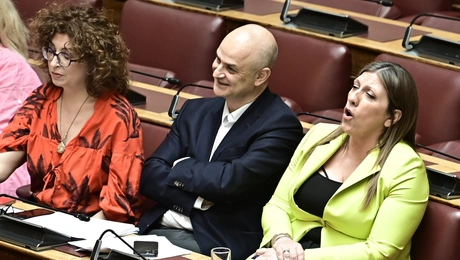 Η Ζωή Κωνσταντοπούλου