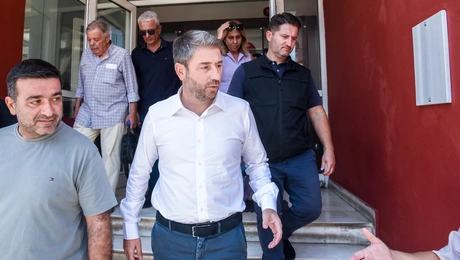 Ο πρόεδρος του ΠΑΣΟΚ, Νίκος Ανδρουλάκης