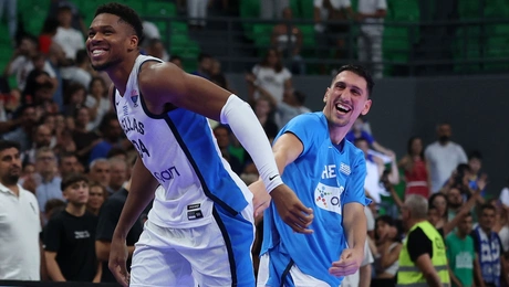 αντετοκούνμπο-εθνικη 