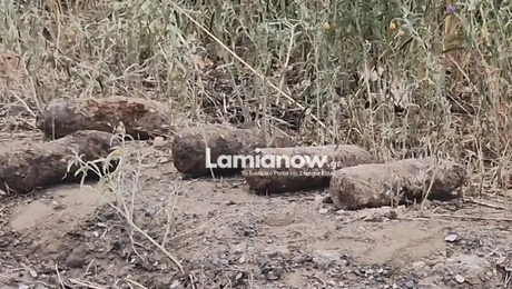 βλήματα Λαμία