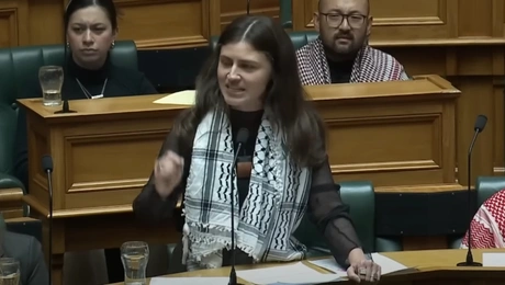 Νέα-Ζηλανδία-Βουλευτής