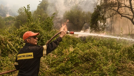 φωτιά στην αχαια