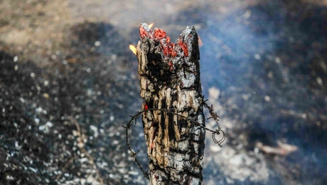 Φωτιά στην Αχαΐα