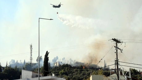 φωτιά Αχαΐα Πάτρα
