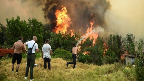 φωτιά Αχαΐα