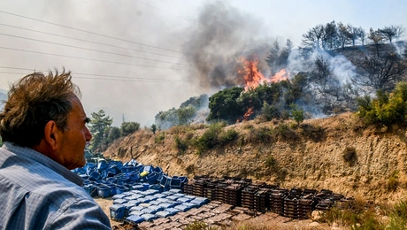 Φωτιά στην Αχαΐα