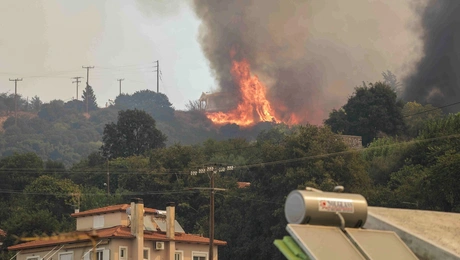 Φωτιά στην Αχαΐα