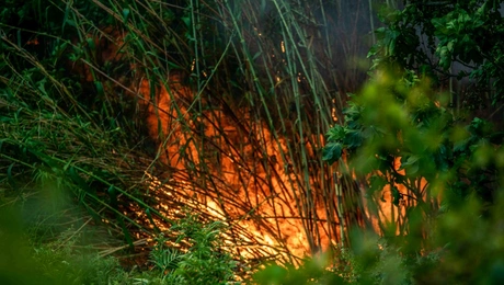 Φωτιά στην Πάτρα